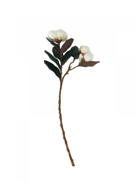 Ветка с цветами магнолии Cote Noire Loose Magnolias white белая
