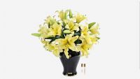 Букет лилий Cote Noire IMPERIAL LILIES yellow, желтый, 2 спрея п