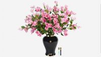 Букет буганвилла Cote Noire Imperial bougainvillea mixed pink, розовый, ваза синяя, 2 спрея по 10 мл