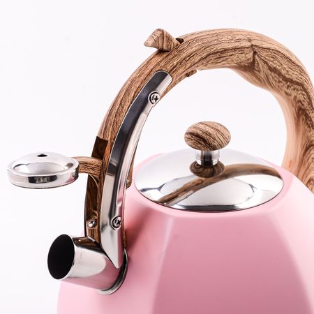 Чайник со свистком розовый 3 л, нержавеющая сталь/пластик 5062-1
