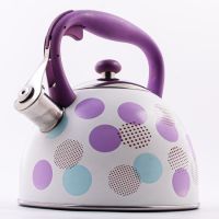 Чайник 3 л, нержавеющая сталь/нейлон MAYERBOCH 5065-1