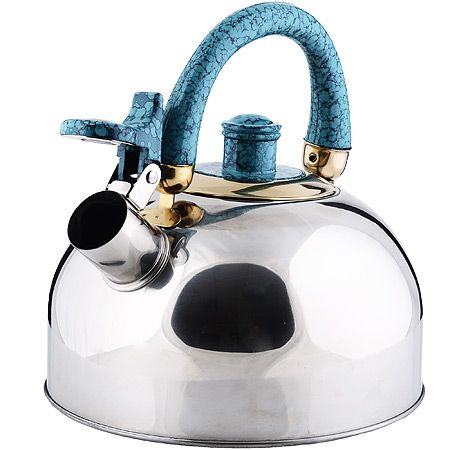 Чайник из нержавеющий стали 2,5 л бирюзовая ручка Mayer&Boch