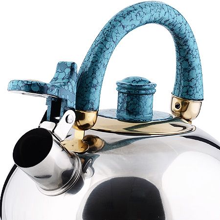 Чайник из нержавеющий стали 2,5 л бирюзовая ручка Mayer&Boch