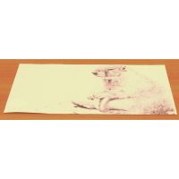 Подставка под горячее HANS & GRETCHEN материал полимер цвет бледно-желтый