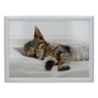 Creative Tops Поднос с подушкой Sleeping Kitten