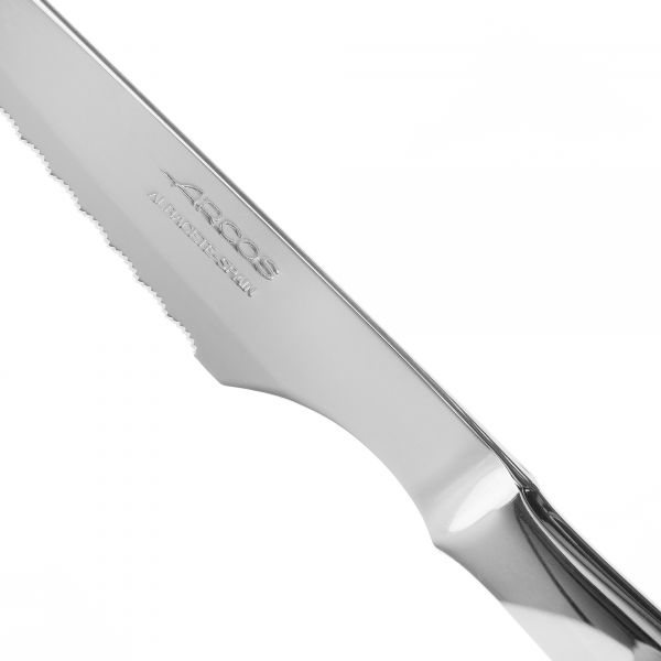 Набор столовых ножей для стейка ARCOS Steak Knives 6 шт рукоять из нержавеющей стали 