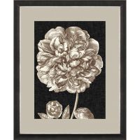 Постер G&C DRAMATIC PEONY 65х85 см