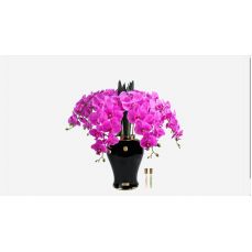 Букет орхидей Cote Noire Imperial ORCHID, розовый, 2 спрея по 10 мл