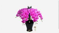 Букет орхидей Cote Noire Imperial ORCHID, розовый, 2 спрея по 10 мл, 60x60x65