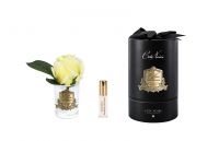Бутон розы диффузор ROSE BUD желтый, прозрачная ваза, 1 спрей 5мл ВхШхД 13,5