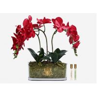 Диффузор Cote Noire OVAL Orchid red Букет красные орхидеи, 2 спрея по 10 мл 40х25х50