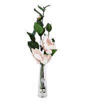Диффузор Cote Noire SUMMER MAGNOLIA PINK SILVER магнолии розовые серебряный декор, спрей 15 мл