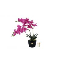 Букет Orchid розовые орхидеи, 2 спрея по 5 мл