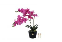 Букет Orchid розовые орхидеи, 2 спрея по 5 мл