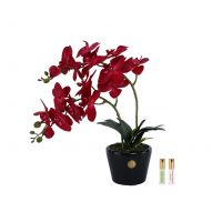 Диффузор Cote Noire Orchid red Букет красные орхидеи, 2 спрея по 5 мл 40х25х50