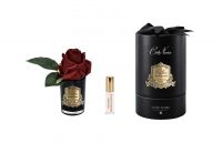 Бутон розы диффузор ROSE BUD red, черная ваза, 1 спрей 5мл