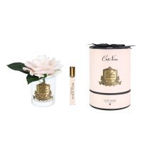 Роза-диффузор French Rose champagne 1 спрей 10 мл