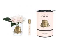 Роза-диффузор French Rose champagne 1 спрей 10 мл