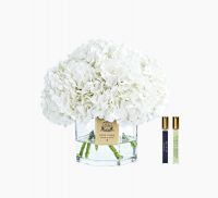 Букет гортензий Cote Noire hydrangeas Ivory, 2 спрея по 10 мл