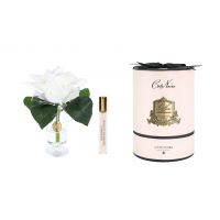 Букет роз Charente Rose Blush, спрей 10 мл