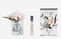 Ароматизированная роза COTE NOIRE слоновая кость,1 спрей