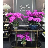 Диффузор Cote Noire OVAL Orchid purple Букет розовые орхидеи, 2 спрея по 10 мл 40х25х50