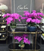 Диффузор Cote Noire OVAL Orchid purple Букет розовые орхидеи, 2 спрея по 10 мл 40х25х50