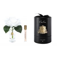 Букет роз Charente Rose Ivory White, спрей 10 мл