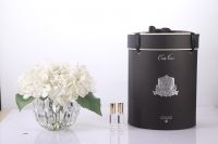 Гортензии COTE NOIRE белый, 2 спрея