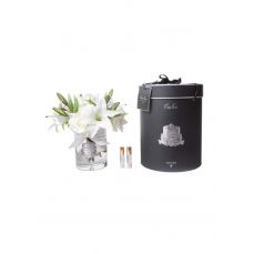 Букет ароматизированный Cote Noire 2 спрея