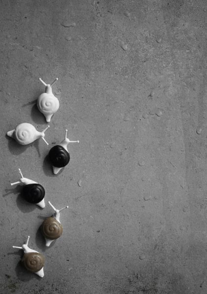 Магниты Snail 6 шт