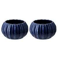 Набор из 2 салатников actinia синего цвета из коллекции sea treasures Tkano