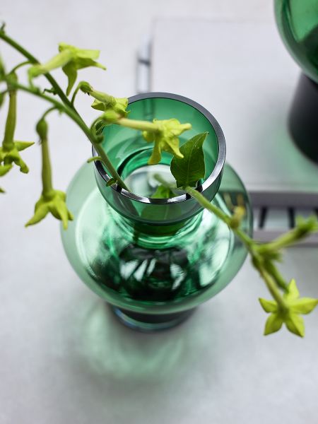 Ваза florum, 30 см, изумрудная Bergenson Bjorn