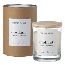 Свеча ароматическая the olphactory, radiant, radiant, spiced tangerine, 40 ч Ambientair