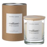 Свеча ароматическая the olphactory, radiant, radiant, spiced tangerine, 40 ч Ambientair