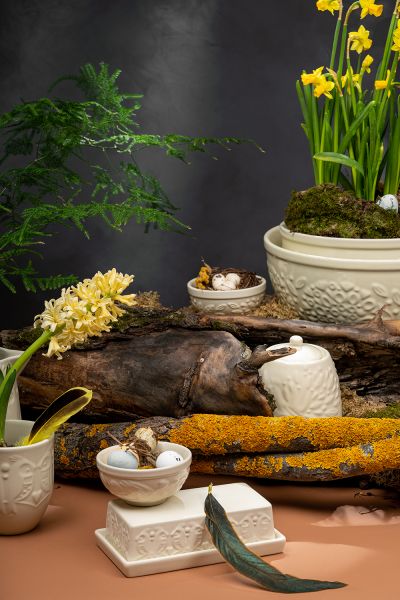 Масленка birds of paradise, кремовая Liberty Jones