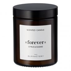 Свеча ароматическая the olphactory, forever, citrus&shades, 30 ч Ambientair