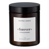 Свеча ароматическая the olphactory, forever, citrus&shades, 30 ч Ambientair