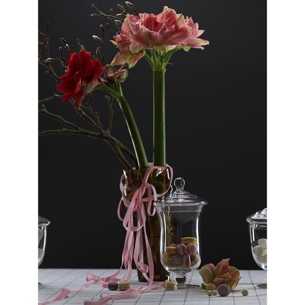 Бонбоньерка sugary 29,3 см Liberty Jones