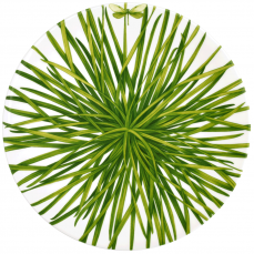 Блюдо сервировочное 31 см LIFE IN GREEN TAITU