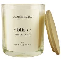 Свеча ароматическая the olphactory, bliss, green rhubarb, 40 ч Ambientair