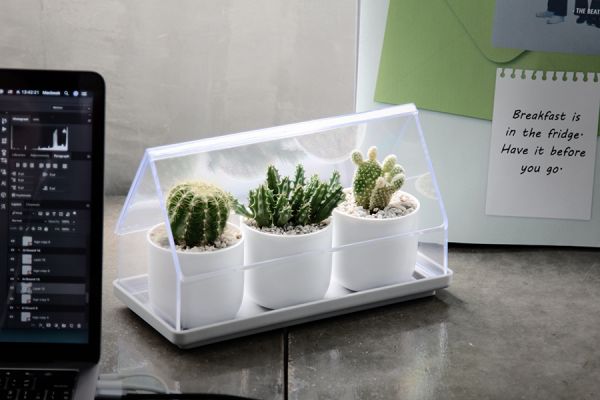 Лоток для выращивания растений micro green house прозрачный