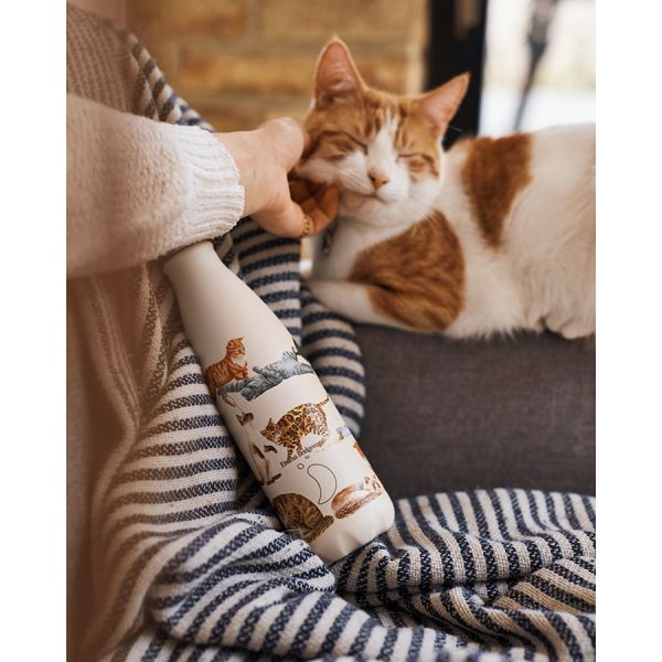 Термос emma bridgewater 500 мл cats