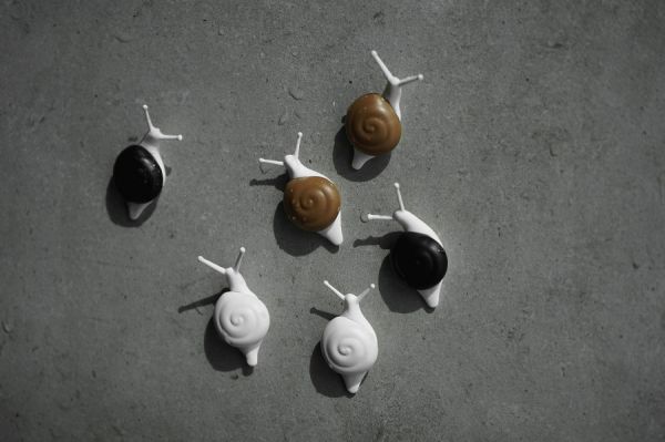 Магниты Snail 6 шт