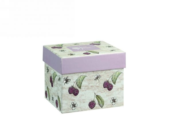 Кружка Churchill Ботанический сад «Малина» 300 мл в коробке 