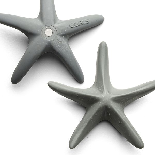 Магнит sea star