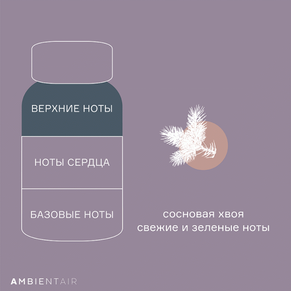 Диффузор ароматический enchanted forest Белый жасмин 100 мл