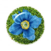 Тарелка десертная Macro photography 21,5 см, цвет: голубой, PRATI ITALIANI TAITU