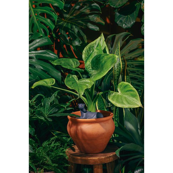 Фигурка с функцией полива для растений jangal panther