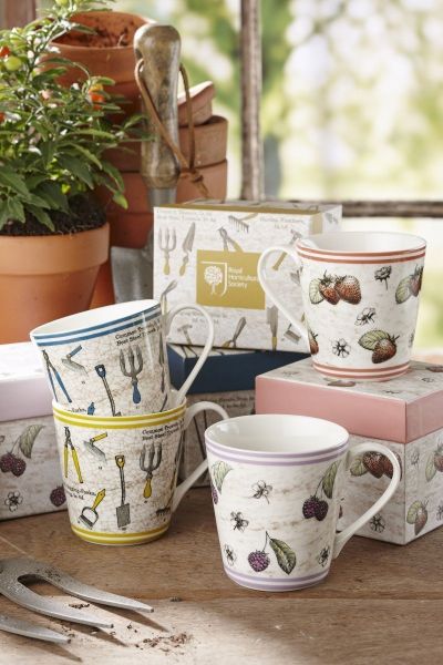 Кружка Churchill Ботанический сад «Клубника» 300 мл в коробке 